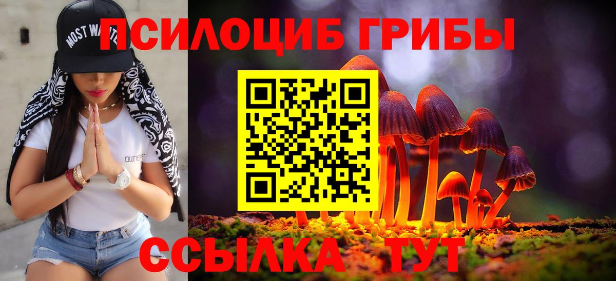 Псилоцибиновые грибы Cubensis  Вход с VPN  Менделеевск 